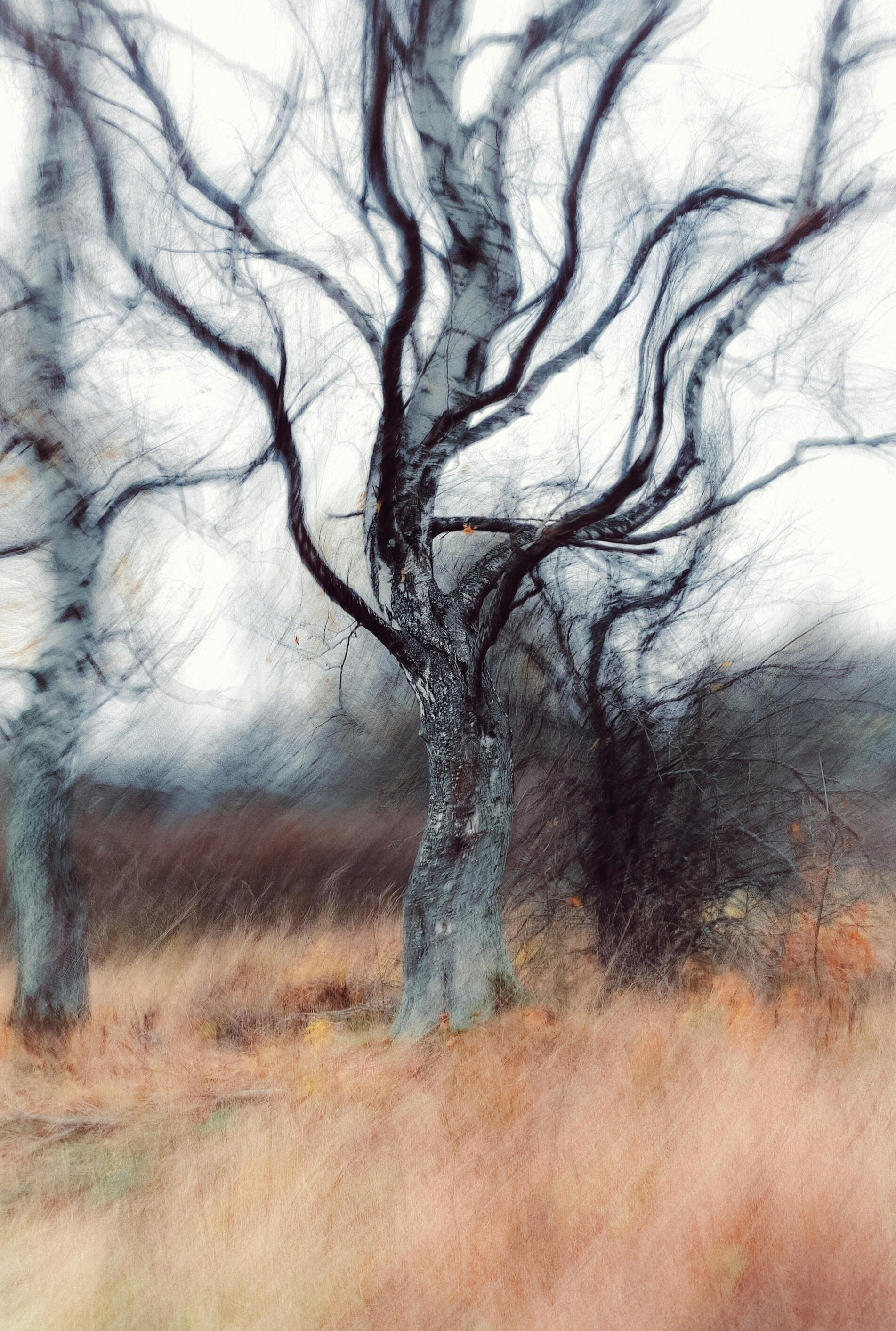 The Threshold